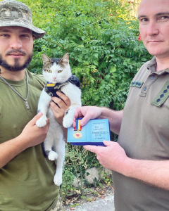 Šaiba ir vienīgais kaķis Ukrainā, kas saņēmis medaļu par brīvprātīgo palīdzību armijai. Foto no personīgā arhīva