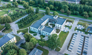 Ambulatorais centrs un dārzs ar vecajiem vārtiem un bērzu rindām no putna lidojuma