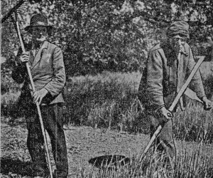 Vājprātīgie pļauj sienu slimnīcas teritorijā — šādu fotoparakstu Jaunākās Ziņas pievienojušas attēlam, 1927. gadā rakstot par Aleksandra Augstumiem