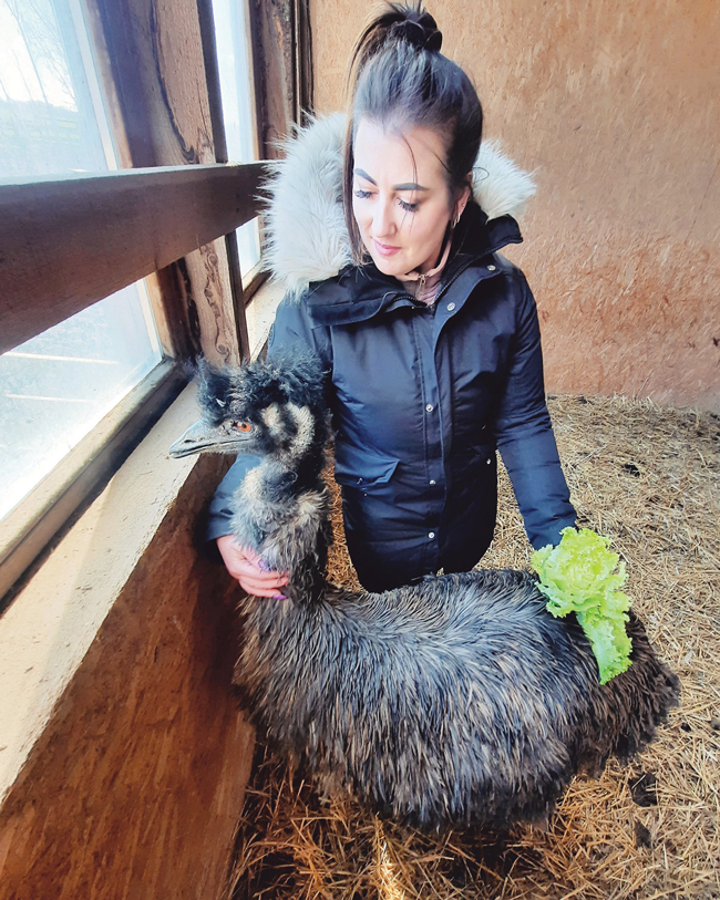Kamēr četras emu olas vēl atrodas inkubatorā, Elīna nofotografējusies ar strausu fermas Mazzariņi emu. Foto no personīgā arhīva