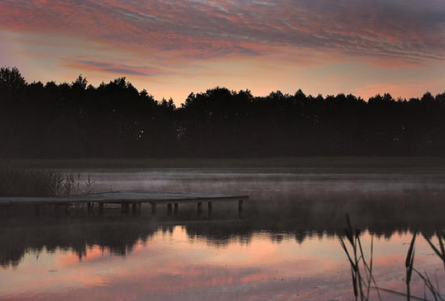Foto: Gundega Šķēla, speciāli Ir.lv