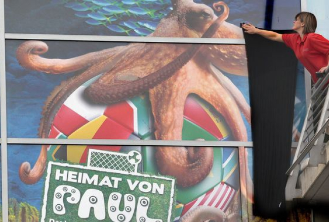 Akvārija darbiniece plakātam piestiprina melnu sēra lentu. Avots: AFP/LETA