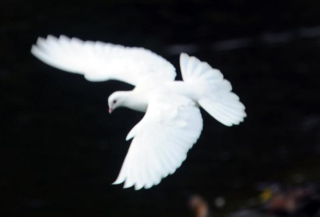 Foto: Evija Trifanova, LETA