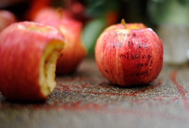 Piemiņas āboli "Apple" radītājam datorģēnijam Stīvam Džobsam. Foto: AFP/LETA