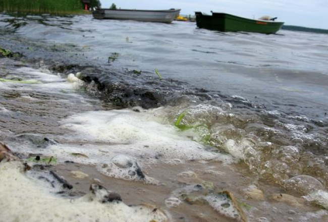 Izskalotas ūdenszāles un netīrumi šovasar Ķīšezera krastā. Foto: Jānis Skruzis, LETA