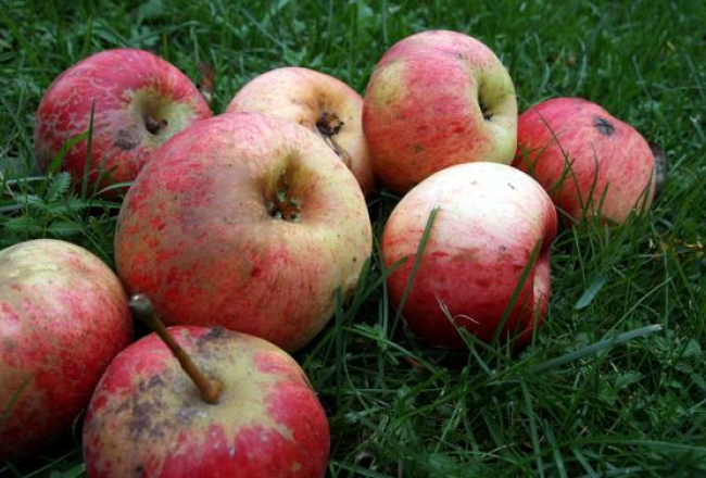 Foto Kaspars Krafts, f64