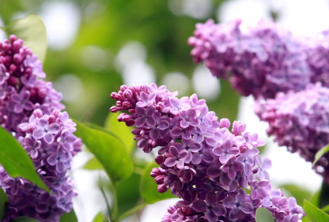 Foto - Kaspars Krafts, f64