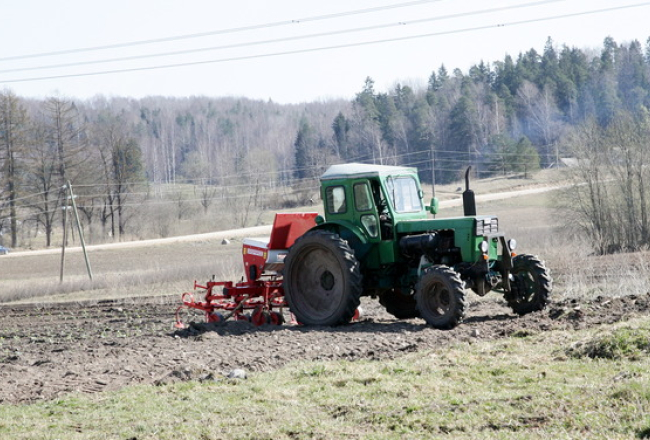 Foto: Rūta Kalmuka, f64