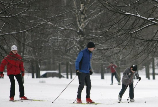 Slēpošana Uzvaras parkā. foto: Mārtiņš Zilgalvis, f64