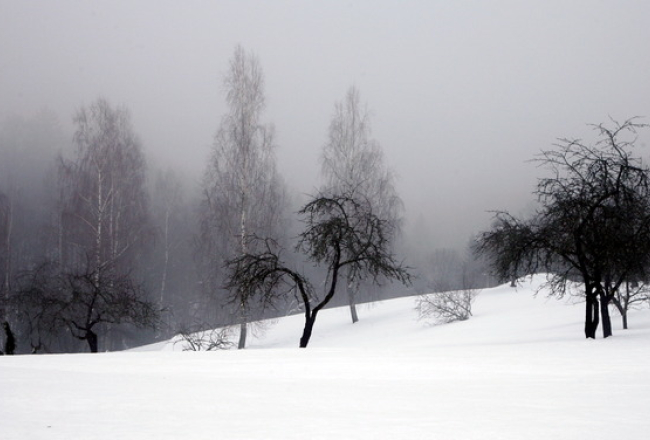 Foto: Lauris Vīksne, f64