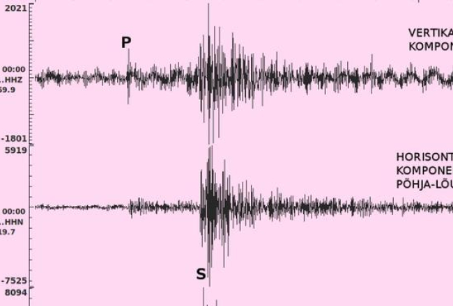 Hāpsalu zemestrīces seismogrāfija. Ekrānšāviņš no Eesti Geoloogiakeskus