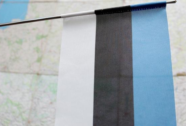 Igaunijas valsts karogs. Foto: Rūta Kalmuka, F64