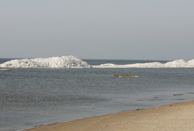 Mārtiņš Zilgalvis, F64