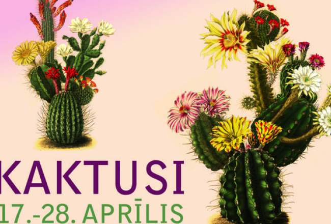 2014_09_kaktusii-2013-media-large.jpg