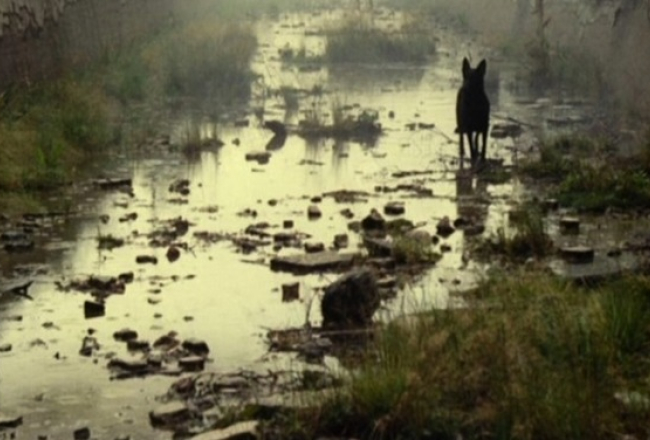 2014_09_kino-media-large.jpg