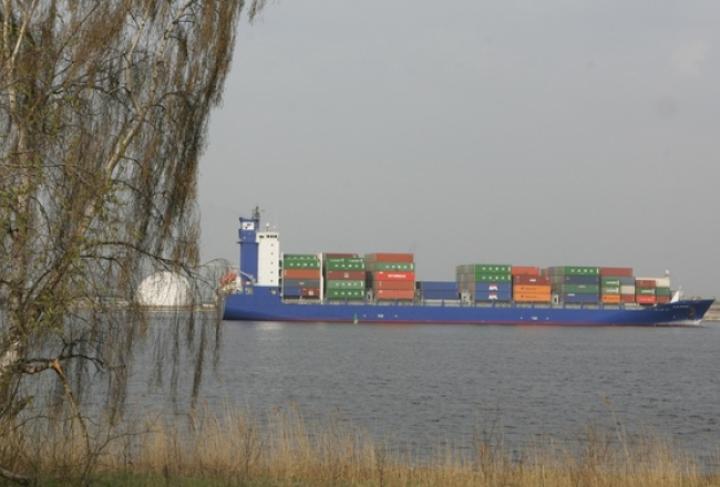 Jānis Saliņš, F64
