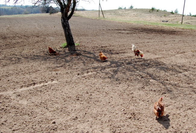 Foto: Inga Nestere, F64