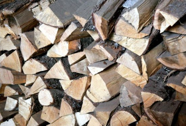 Foto: Mārtiņš Zilgalvis, F64