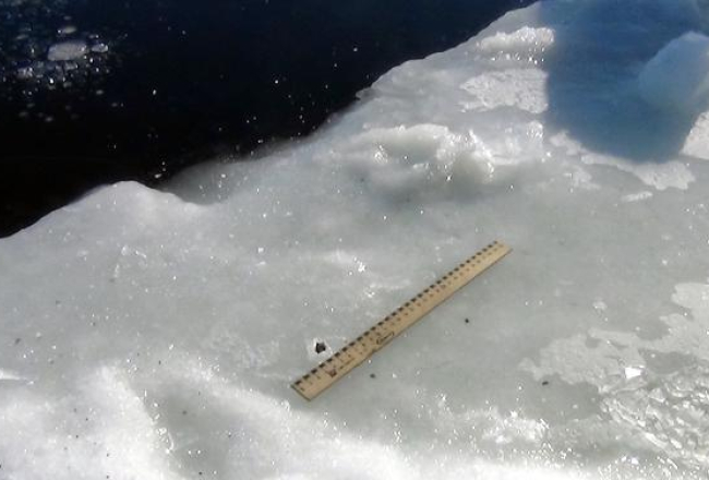 Zinātnieku atrastās meteorīta daļiņas. Foto: AFP/LETA