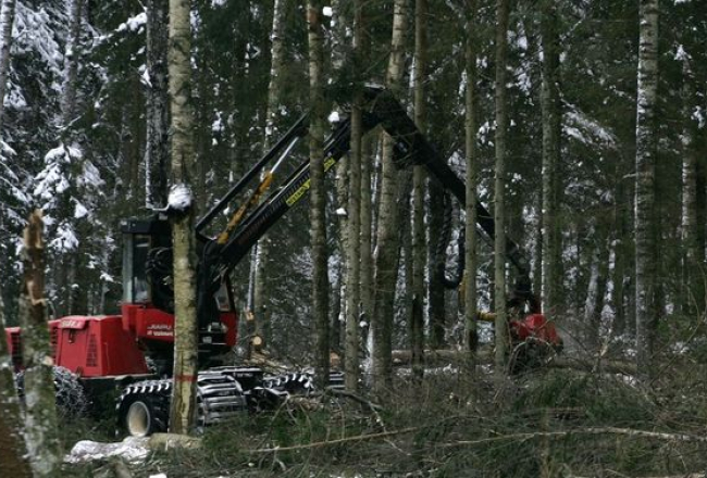 Kristaps Kuhaļskis, F64