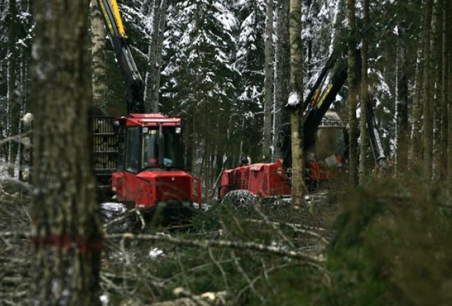 Kristaps Kuhaļskis, F64