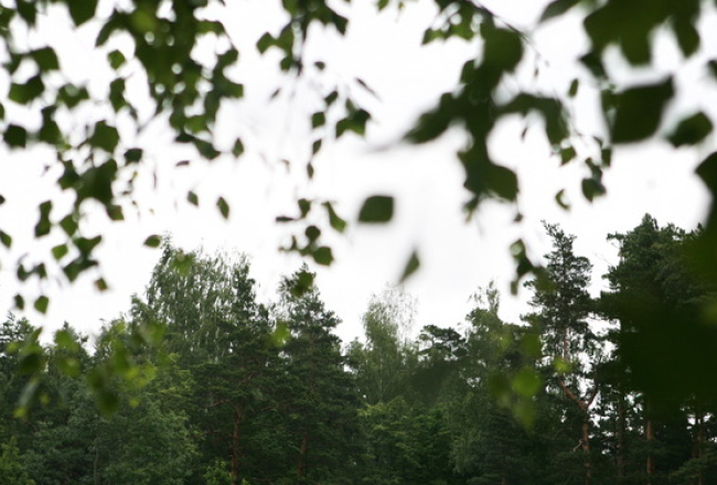 Foto: Andrejs Strokins, F64