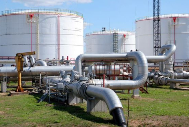 Lauris Nagliņš, LETA