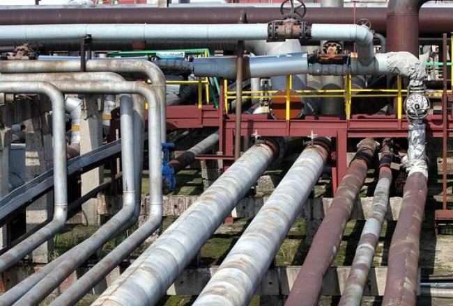 Lauris Nagliņš, LETA