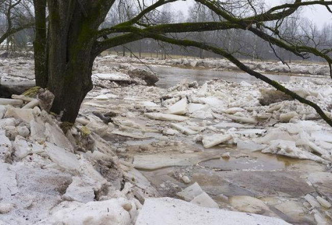 Ledus sastrēgums Ogres upē. Foto: Raimo Lielbriedis, F64