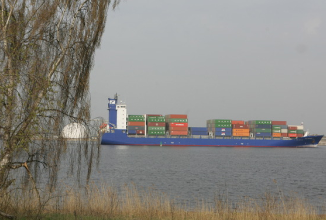 Osta. Foto: Jānis Saliņš, F64