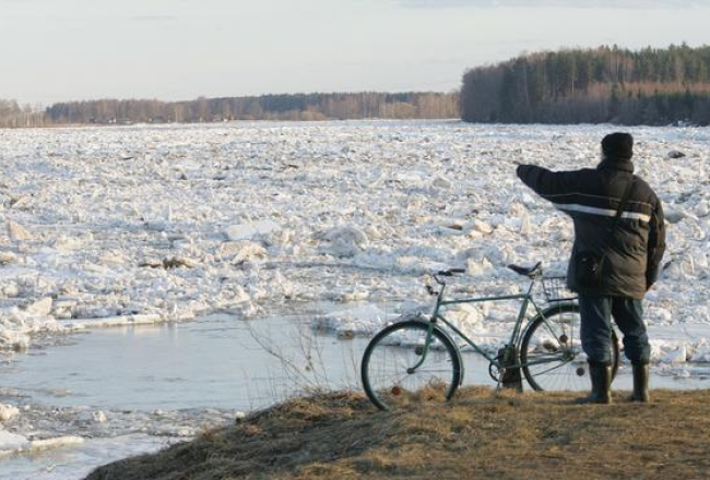 Ledus sastrēgums Daugavā pie Pļaviņām pērn. Foto: Raitis Plauks, F64