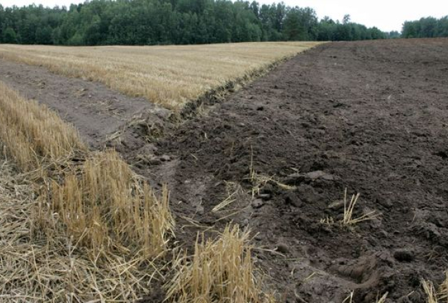 Gatis Dieziņš, LETA