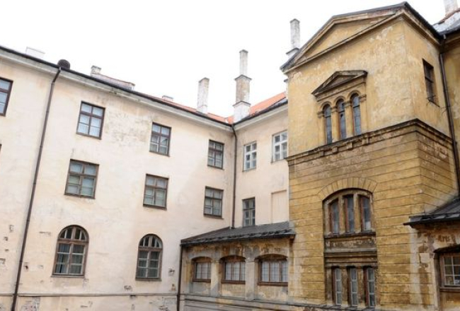 Ieva Čīka, LETA