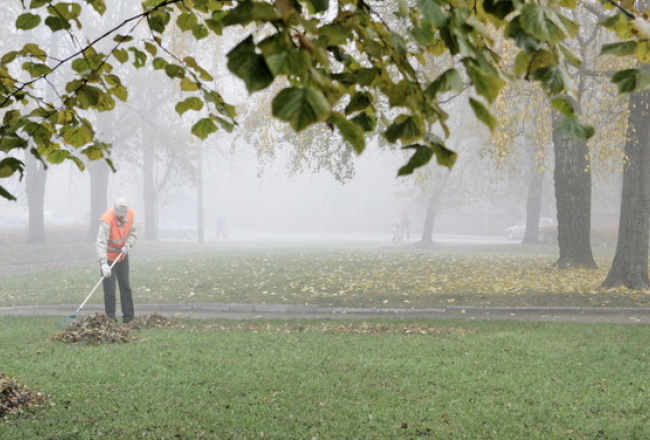 Rudens lapu grābšana. Foto: Rūta Kalmuka, F64