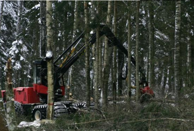 Kristaps Kuhaļskis, F64