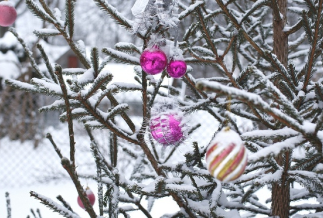 Foto: Andrejs Strokins, F64