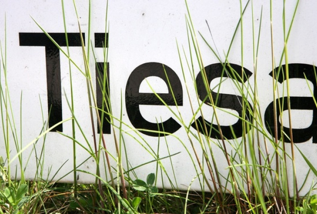 Foto: Evija Trifanova, LETA