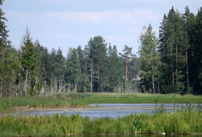 Foto: Lauris Nagliņš, LETA