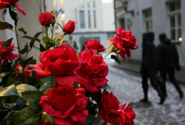 Foto: Rūta Kalmuka, F64