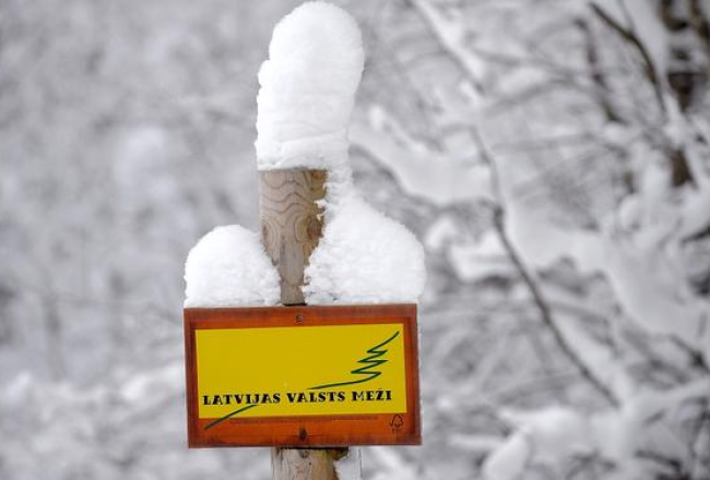 Latvijas Valsts mežu logo. Foto: Evija Trifanova, LETA