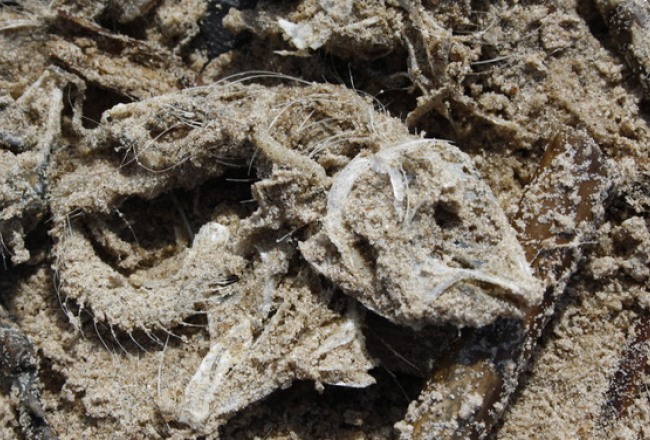 Foto: Jana Kudrjavceva, F64