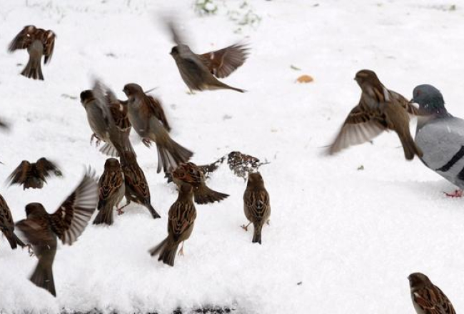 Foto: Kaspars Krafts, F64