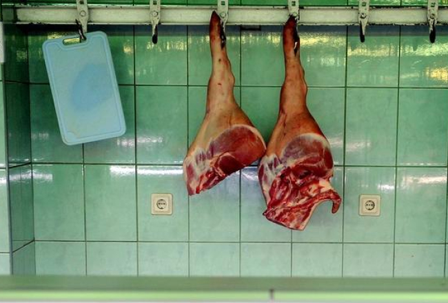 Foto: Ieva Lūka, LETA