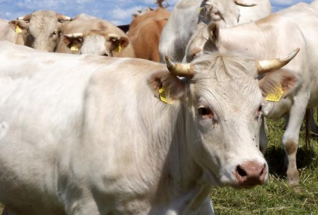 Foto: Daiga Kļanska, LETA