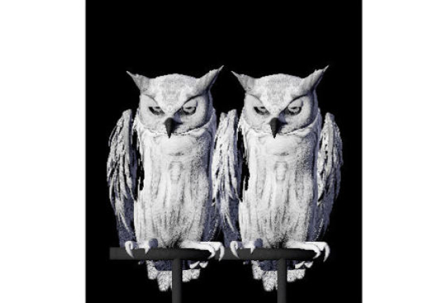 Norvēģu mākslinieces Annas Lislegordas darbs "Orākuls, pūce...daži dzīvnieki neaizmieg nekad". Izstādes publicitātes foto