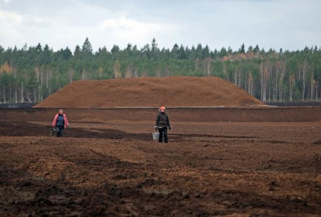 Kūdras purvs. Foto: Edijs Pālens, LETA