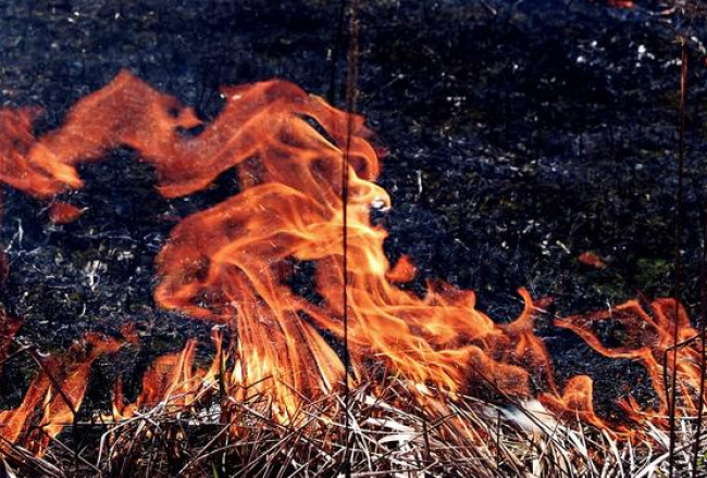 Kūla deg. Foto: Toms Zariņš, F64