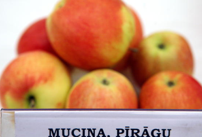 Foto no 2011.gada izstādes Dabas muzejā. Foto Evija Trifanova, LETA