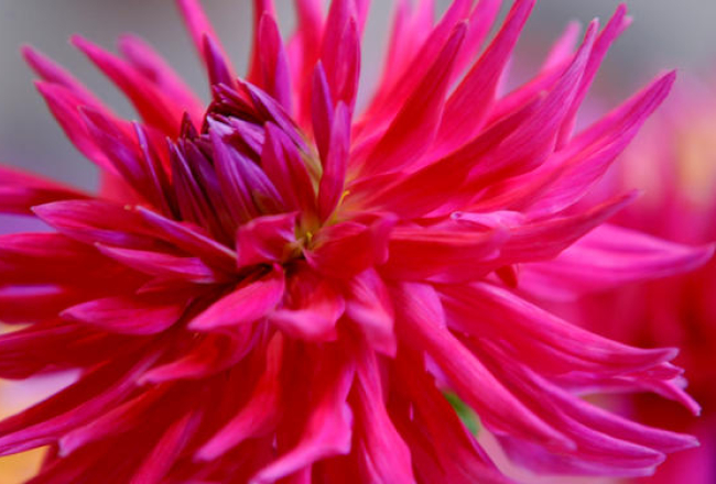 Foto Evija Trifanova, LETA