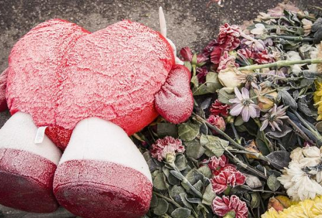 Pie Zolitūdes lielveikala joprojām atrodas ziedi bojāgājušo piemiņai. Foto: Emīls Desjatņikovs, F64